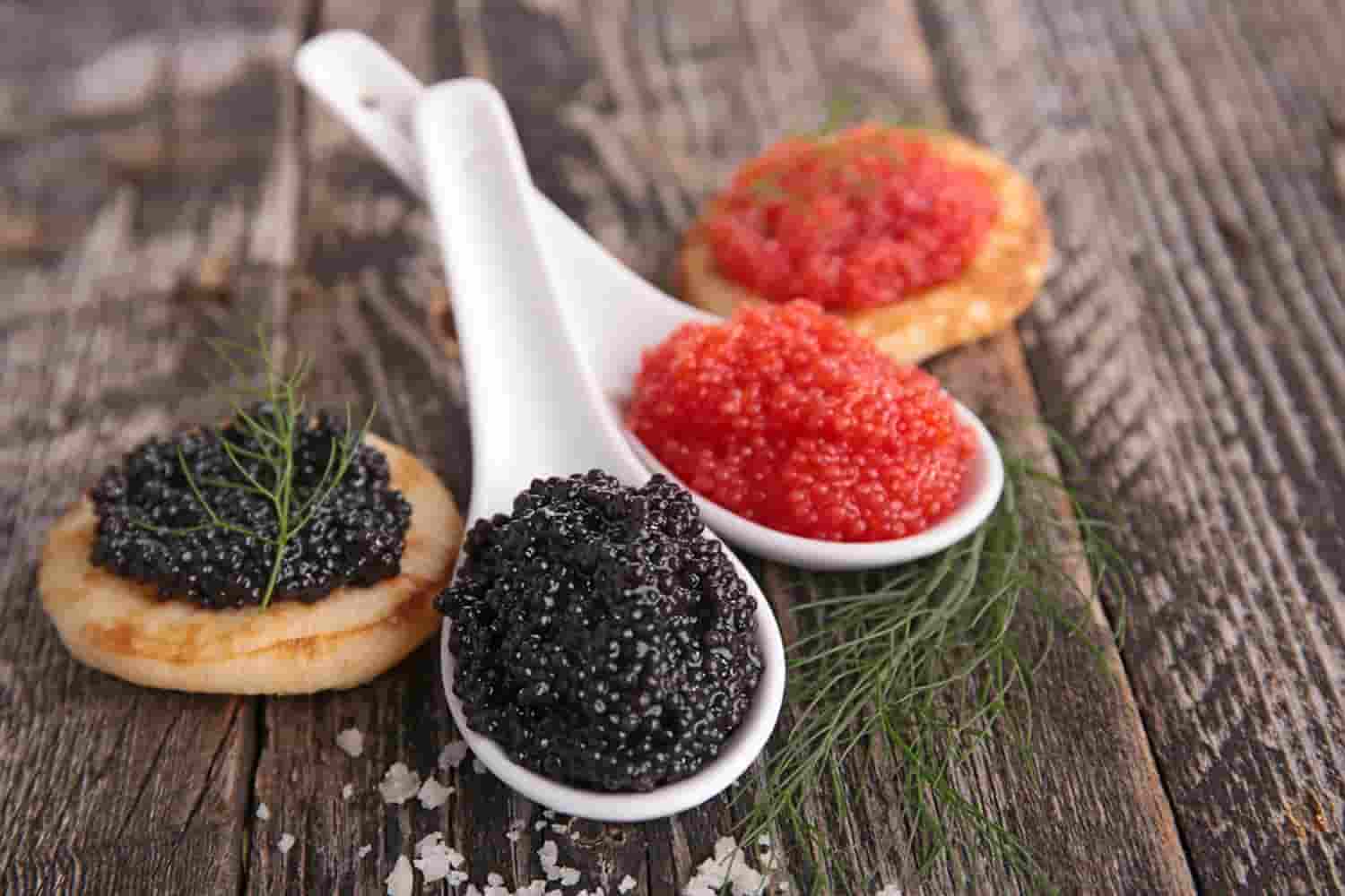 تصویر 4 از خرید و قیمت خاویار قرمز 200 گرمی + فروش صادراتی